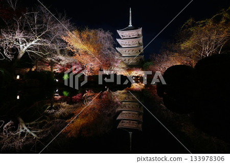 京都東寺的楓葉燈光秀 133978306