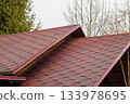 The top of a house with red shingles and wooden beams is visible, surrounded by trees in a cloudy autumn environment 133978695