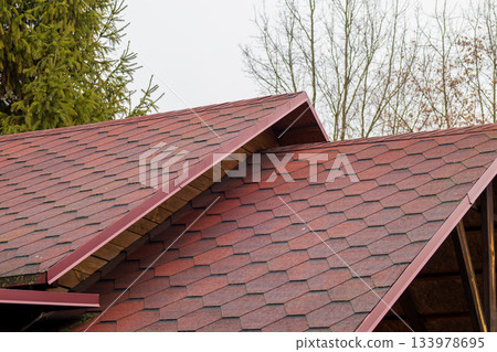 The top of a house with red shingles and wooden beams is visible, surrounded by trees in a cloudy autumn environment 133978695