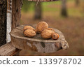 Four nuts are placed on a wooden shelf in a forest. The setting shows fallen leaves and trees during autumn season 133978702