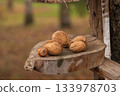 A group of nuts sits on a wooden platform attached to a tree in a forest in autumn with soft sunlight filtering through the leaves 133978703