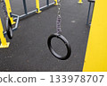 Children enjoy swinging on gym rings in a park playground during afternoon hours. Kids engage in active play and exercise 133978707