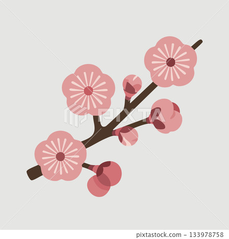 Elegant pink plum blossoms blooming on a branch, evoking springtime beauty and delicate charm, perfect for adding a touch of grace to your designs 133978758