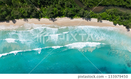 A turquoise sea with gentle waves reaching a sandy shore bordered by lush greenery. Grand Anse. Seychelles, Mahe. 133979450