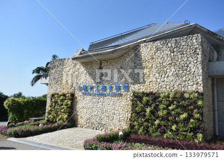 美麗海水族館 133979571