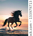 晨曦中,駿馬在海岸邊奔騰。 晨曦中,駿馬在海岸邊奔騰。 133979713
