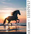 晨曦中,駿馬在海岸邊奔騰。 晨曦中,駿馬在海岸邊奔騰。 133979717