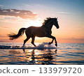 晨曦中,駿馬在海岸邊奔騰。 晨曦中,駿馬在海岸邊奔騰。 133979720