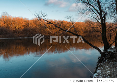 Tranquil Autumn Riverbank with Bare Trees and Reflections Tranquil Autumn Riverbank with Bare Trees and Reflections 133980279