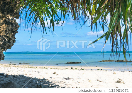 White sand beach and beautiful sea White sand beach and beautiful sea 133981071