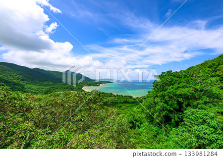 石垣島鬱鬱蔥蔥的山巒和蔚藍的大海盡收眼底,景色壯麗。 石垣島鬱鬱蔥蔥的山巒和蔚藍的大海盡收眼底,景色壯麗。 133981284