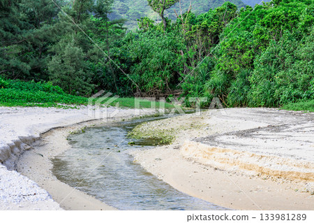 石垣島茂密森林中潺潺溪流與沙灘交相輝映，構成了一幅自然景觀。 133981289