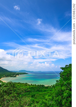 石垣島的壯麗全景盡收眼底，鬱鬱蔥蔥的森林和波光粼粼的碧藍大海盡收眼底。 133981292