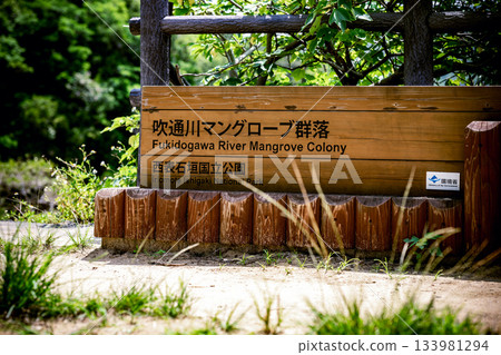 石垣島的自然風光，以及介紹福道川紅樹林群落的木製路標。 133981294