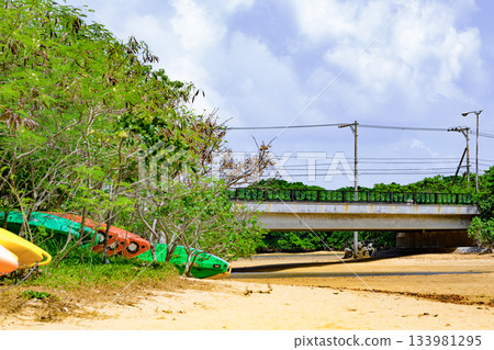 Kayaks line the riverside of Ishigaki Island, surrounded by lush greenery Kayaks line the riverside of Ishigaki Island, surrounded by lush greenery 133981295