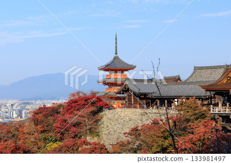 Autumn in Kyoto: Kiyomizu-dera Temple and the Three-story Pagoda (Higashiyama Ward, Kyoto City, Kyoto Prefecture) 133981497
