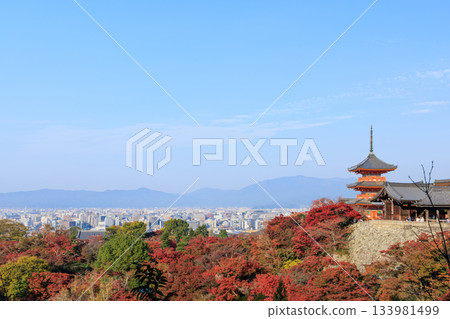 Autumn in Kyoto: Kiyomizu-dera Temple and the Three-story Pagoda (Higashiyama Ward, Kyoto City, Kyoto Prefecture) 133981499