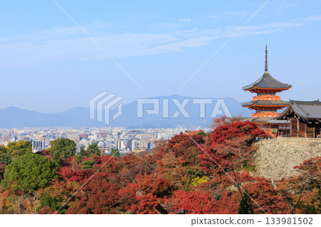 京都的秋天：清水寺與三重塔（京都府京都市東山區） 133981502