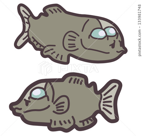 A simple, deformed illustration of a cute demenigisu fish A simple, deformed illustration of a cute demenigisu fish 133981748