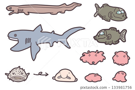 A set of illustrations of deep-sea creatures such as simply deformed octopuses and sharks 133981756