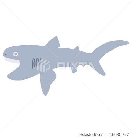 A simple illustration of a megamouth shark, a deep-sea shark A simple illustration of a megamouth shark, a deep-sea shark 133981767