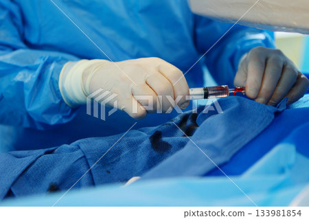 Surgical interventions on blood vessels. Vascular surgery. Modern operating room. Prevention of blood clots. Removal of blood clots. Concept of health care. 133981854