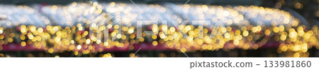 Christmas lights on the roof of the building are out of focus. A narrow banner. Bokeh. The concept of Christmas decorations on the street. Christmas and New Year celebrations. Christmas lights on the roof of the building are out of focus. A narrow banner. Bokeh. The concept of Christmas decorations on the street. Christmas and New Year celebrations. 133981860