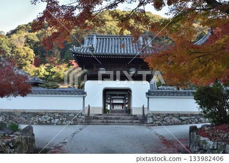 興聖寺琴坂:正門與楓樹(京都府宇治市) 興聖寺琴坂:正門與楓樹(京都府宇治市) 133982406