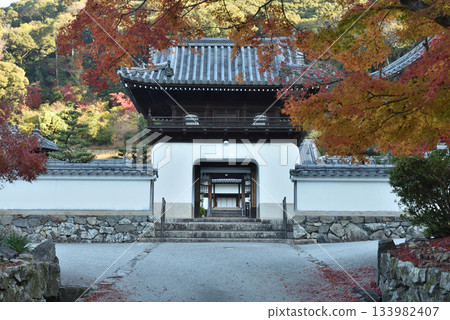興聖寺琴坂：正門與楓樹（京都府宇治市） 133982407