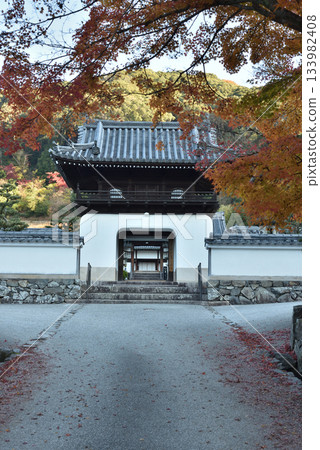 興聖寺琴坂:正門與楓樹(京都府宇治市) 興聖寺琴坂:正門與楓樹(京都府宇治市) 133982408
