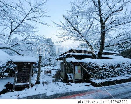 Yubikan in the snow Yubikan in the snow 133982901