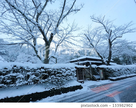 Yubikan in the snow 133982902
