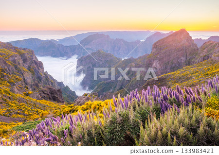 View from Pico do Arieiro, Portugal 133983421