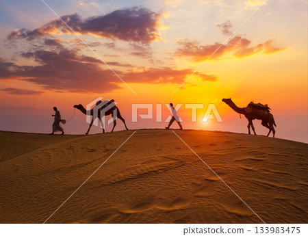 Indian cameleers camel drivers camel silhouettes in dunes on sunset. Jaisalmer, Rajasthan, India 133983475