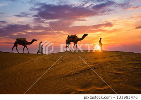Indian cameleers camel drivers camel silhouettes in dunes on sunset. Jaisalmer, Rajasthan, India Indian cameleers camel drivers camel silhouettes in dunes on sunset. Jaisalmer, Rajasthan, India 133983476