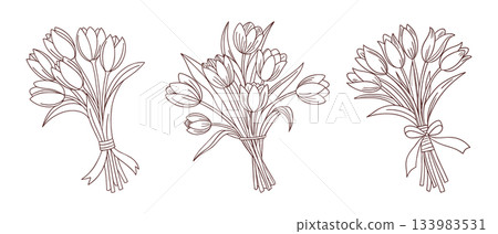 Set of elegant tulip bouquets. Floral gifts. Line art. 133983531