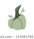 Stylized green pumpkin with an elongated winding stem and decorative tendrils. Unique fall vector perfect for packaging, pattern design, branding, farmhouse decor and craft projects. 133983788