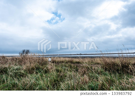 The fields and pale sky of Notsuke Peninsula swaying in the autumn breeze The fields and pale sky of Notsuke Peninsula swaying in the autumn breeze 133983792
