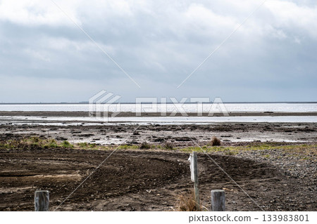 野付半島的秋景：站在波光粼粼的水邊，是一幅略帶憂鬱的景色 133983801