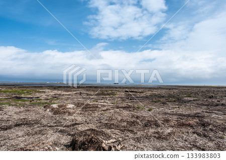 北海道野付半島:秋日天空與廣闊土地交織而成的風景 北海道野付半島:秋日天空與廣闊土地交織而成的風景 133983803