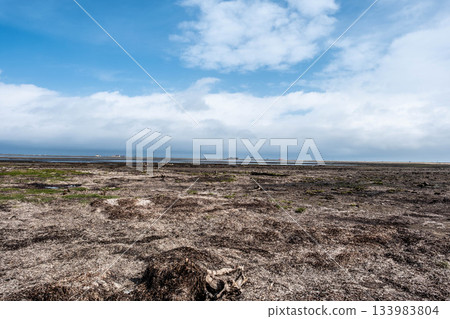 秋天的天空與北海道東部野付半島廣闊的荒野形成鮮明對比。 133983804