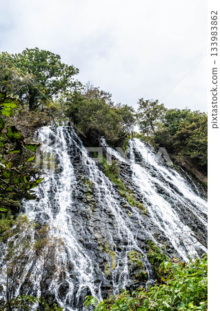 As autumn deepens in Hokkaido, mist rises at Oshinkoshin Falls As autumn deepens in Hokkaido, mist rises at Oshinkoshin Falls 133983862