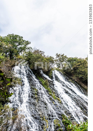 Trees swaying in the autumn breeze. Oshinkoshin Falls, a quiet, clear stream in eastern Hokkaido. 133983863