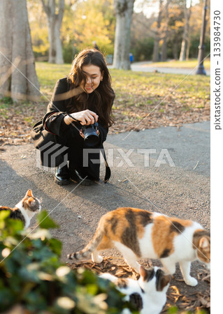 Young woman photographing stray cats in a sunny park, kneeling on the ground with a camera while animals gather around her. Warm natural light, candid outdoor moment with pets and wildlife. Young woman photographing stray cats in a sunny park, kneeling on the ground with a camera while animals gather around her. Warm natural light, candid outdoor moment with pets and wildlife. 133984730
