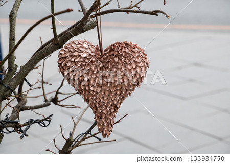 Heart shaped metallic Christmas ornament hanging on bare winter branch outdoors. Romantic seasonal decor with soft winter background. Heart shaped metallic Christmas ornament hanging on bare winter branch outdoors. Romantic seasonal decor with soft winter background. 133984750