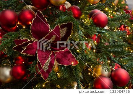 Christmas tree decorated poinsettia flowers and red baubles with lights garland. Xmas holiday spirit. Winter. Outdoors. 133984756