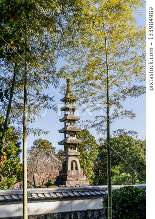 Autumn scenery of Mt. Kokei 133984989