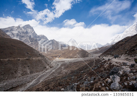 Everest base camp trekking path in Dughla area, Lobuche base camp, Nepal Everest base camp trekking path in Dughla area, Lobuche base camp, Nepal 133985031