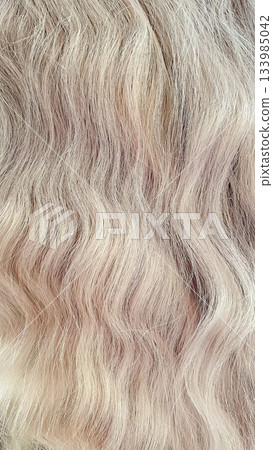 Full frame close-up of healthy, shiny blonde wavy hair texture. Ideal for beauty background 133985042