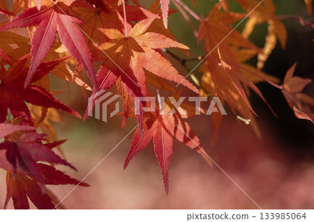 小溪山永法寺境內的秋景 133985064